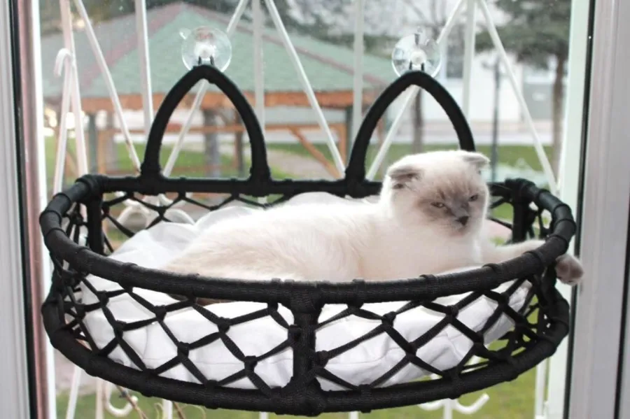 C-Pet Cam Güzeli Cama Takılabilen Kedi Yatağı