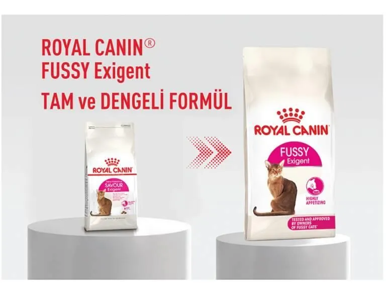 Royal Canin Fussy Exgient Seçici Kedilere Özel Yetişkin Kedi Maması 4 Kg