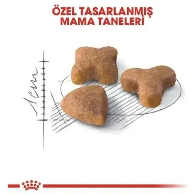4. görsel
