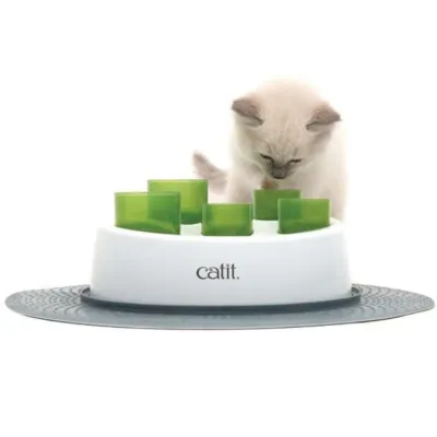2. görsel