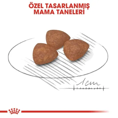 3. görsel