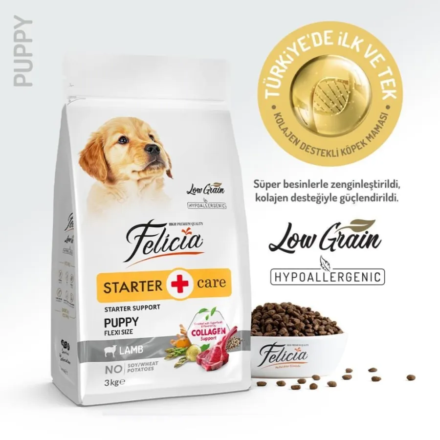 Felicia Tüm Irklar İçin Kuzulu Yavru Köpek Maması 3 kg
