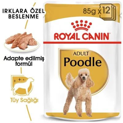2. görsel