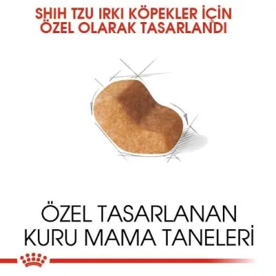 3. görsel
