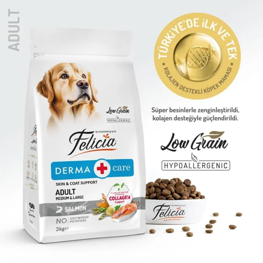 Felicia Somonlu Yetişkin Köpek Maması 3 kg