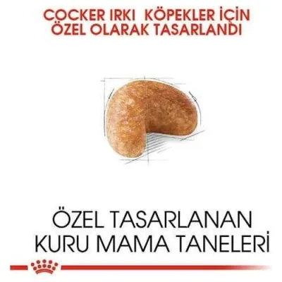 3. görsel