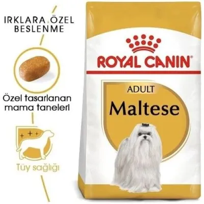 2. görsel