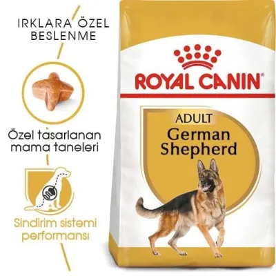 2. görsel