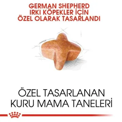 3. görsel