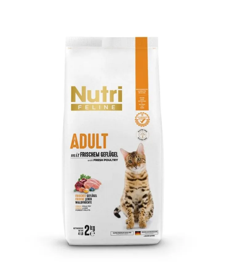Nutri Feline Poultry Kümes Hayvanlı Yetişkin Kedi Maması 2 Kg
