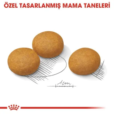 3. görsel