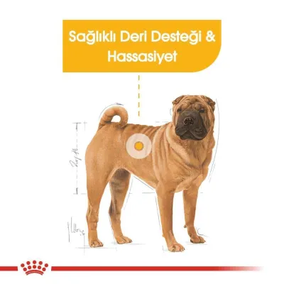 4. görsel
