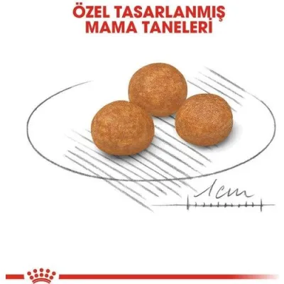 4. görsel