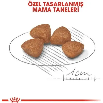 2. görsel