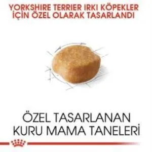 3. görsel