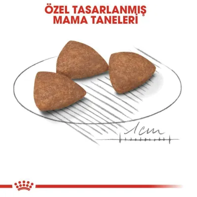 3. görsel