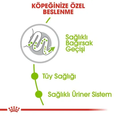 3. görsel
