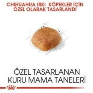 3. görsel