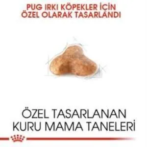 3. görsel