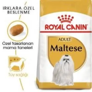 2. görsel