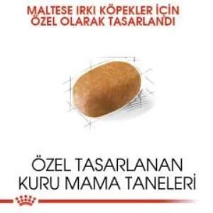 3. görsel