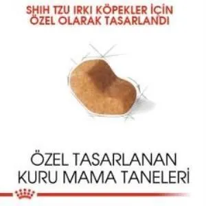 2. görsel