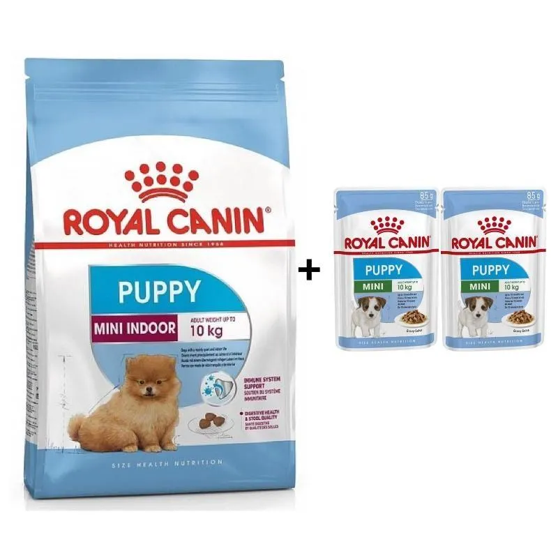 Royal Canin Mini İndoor Puppy Köpek Maması 1,5 kg + 2 Adet Yaş Mama Hediye