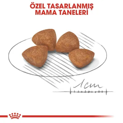 3. görsel
