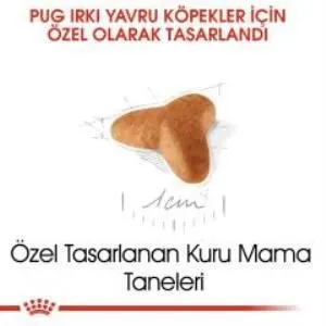 3. görsel