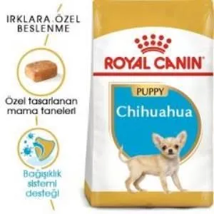 2. görsel