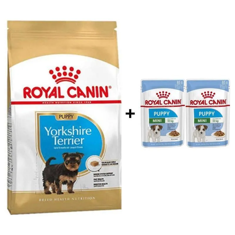 Royal Canin Yorkshire Terrier Yavru köpek Maması 1,5 kg + 2 Adet Yaş Mama Hediye