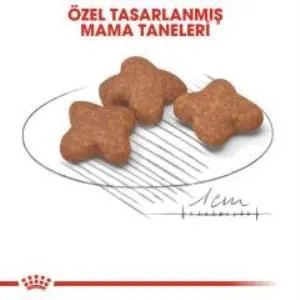 3. görsel