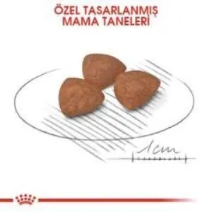 4. görsel