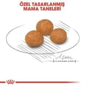 3. görsel