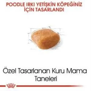 3. görsel