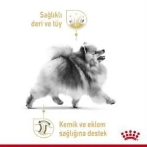 3. görsel