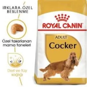 2. görsel