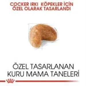3. görsel