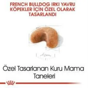 3. görsel