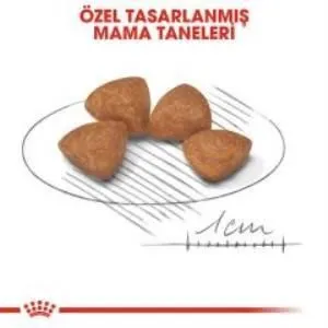 3. görsel
