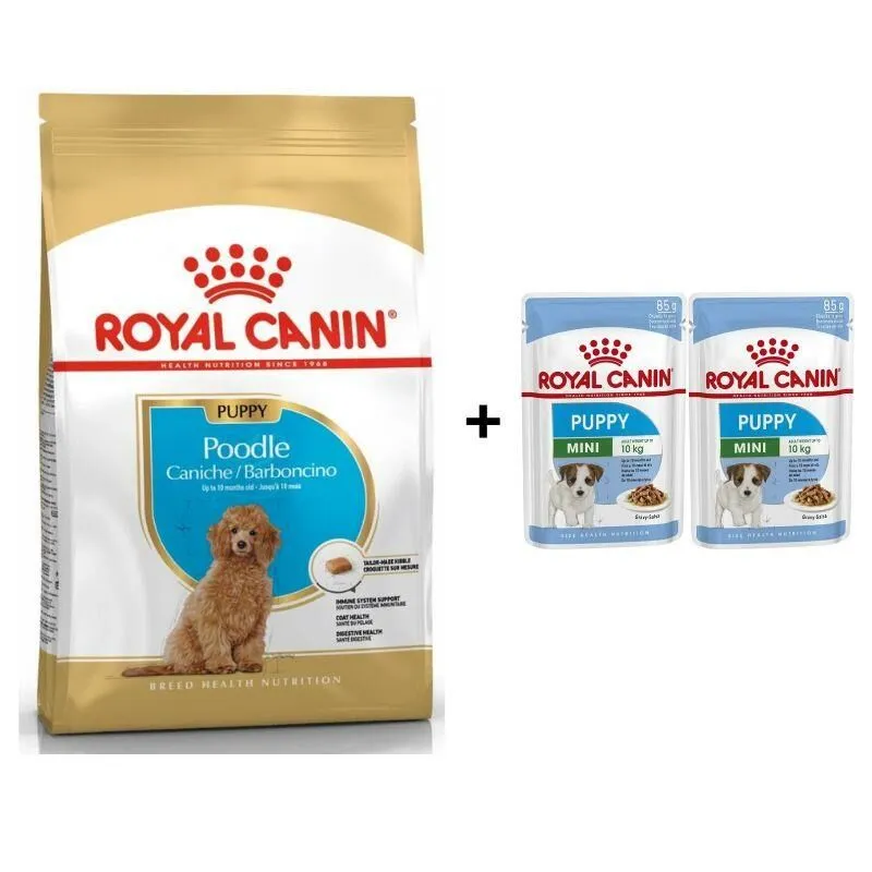 Royal Canin Poodle Puppy Köpek Maması 3 Kg + 2 Adet Yaş Mama Hediye