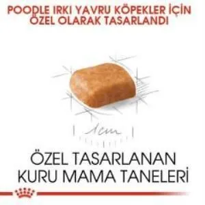 3. görsel