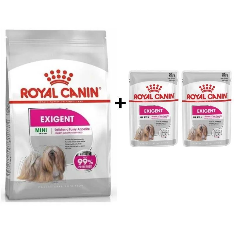 Royal Canin Mini Exigent Köpek Maması 3 Kg + 2 Adet Yaş Mama Hediye