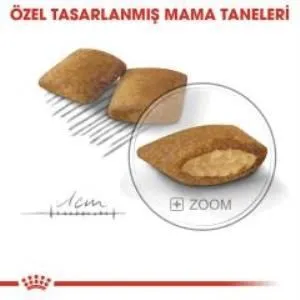 3. görsel