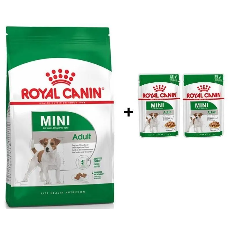 Royal Canin Mini Adult Köpek Maması 4 Kg + 2 Adet Yaş Mama Hediye