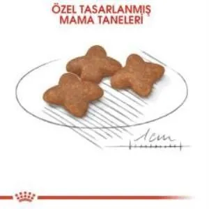 3. görsel