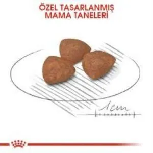 3. görsel