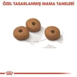 3. görsel