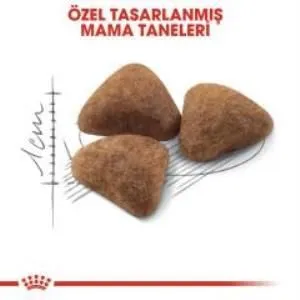 2. görsel