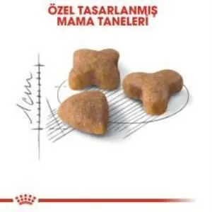 3. görsel